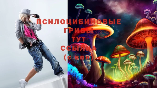 альфа пвп Новочеркасск